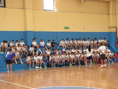 start dinamo camp