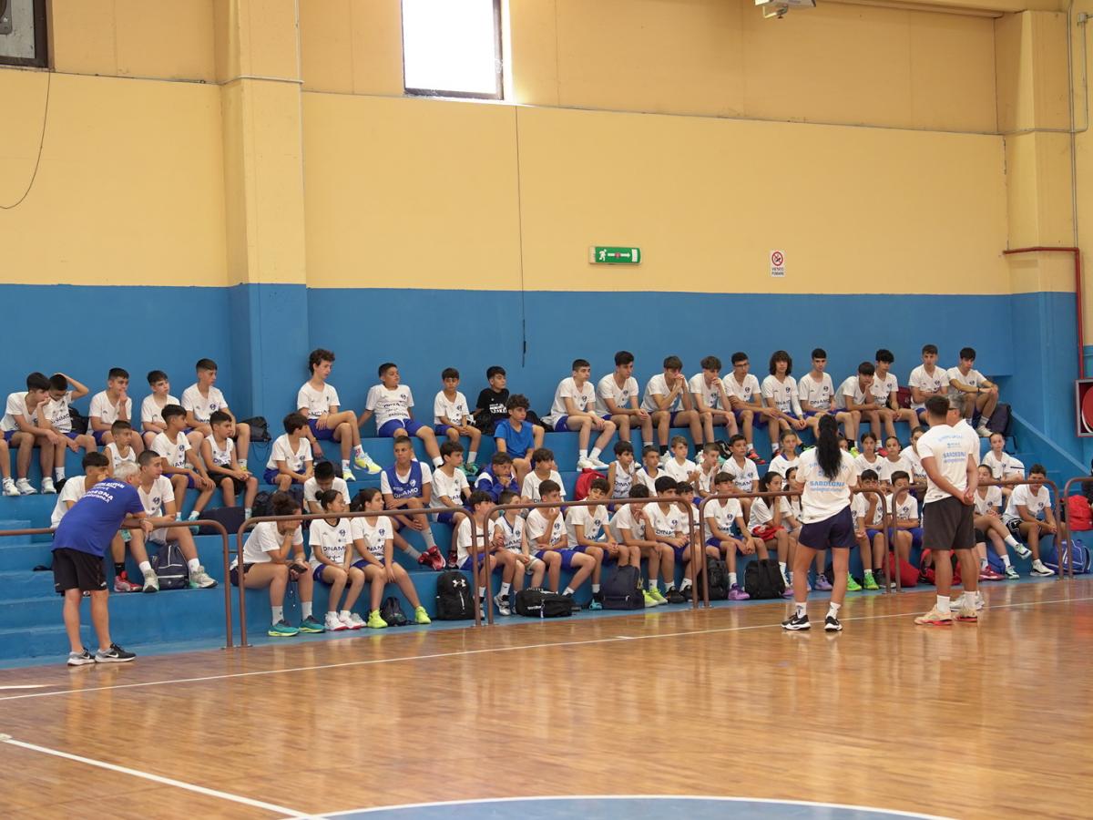 start dinamo camp