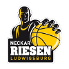 MHP Riesen